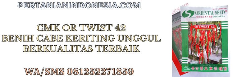cmk, or,or twist, or twist 42, oriental seed